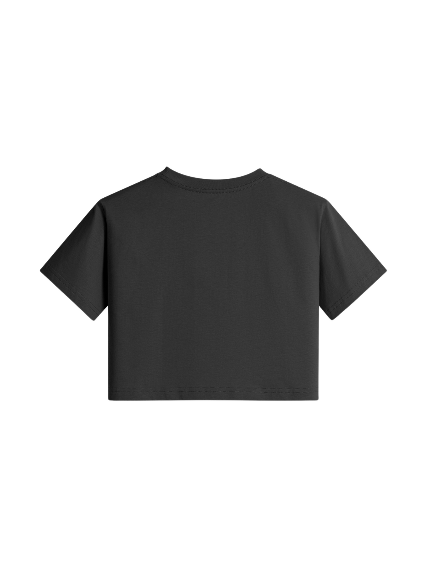 Bakunawa Crop Top